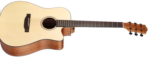 Best acoustic guitar in India